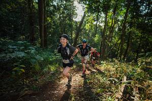 BIB: 
                            <button type="button" onclick="openModal(22545039)" class="btn btn-primary btn-sm float-right btn-popup" data-toggle="modal" data-target=".modal-high-quality">
                        <i class="fas fa-shopping-cart"></i> Add to Cart
                    </button>
                                            <button type="button" onclick="isThisMe(22545039, true)" class="btn btn-success btn-sm float-right btn-popup btn-isme hidden" data-toggle="tooltip" data-placement="bottom" title="นี่คือรูปของคุณใช่ไหม คลิกที่นี่เพื่อเอาเข้าอัลบั้ม">
                        <i class="fas fa-plus"></i> Add to album
                    </button>
                    <button type="button" onclick="isThisMe(22545039, false)" class="btn btn-warning btn-sm float-right btn-popup btn-isnotme hidden">
                        <i class="fas fa-ban"></i> Remove from album
                    </button>